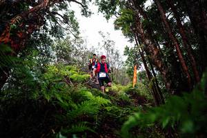 BIB: 
                            <button type="button" onclick="openModal(26203997)" class="btn btn-primary btn-sm float-right btn-popup" data-toggle="modal" data-target=".modal-high-quality">
                        <i class="fas fa-shopping-cart"></i> Add to Cart
                    </button>
                                            <button type="button" onclick="isThisMe(26203997, true)" class="btn btn-success btn-sm float-right btn-popup btn-isme hidden" data-toggle="tooltip" data-placement="bottom" title="นี่คือรูปของคุณใช่ไหม คลิกที่นี่เพื่อเอาเข้าอัลบั้ม">
                        <i class="fas fa-plus"></i> Add to album
                    </button>
                    <button type="button" onclick="isThisMe(26203997, false)" class="btn btn-warning btn-sm float-right btn-popup btn-isnotme hidden">
                        <i class="fas fa-ban"></i> Remove from album
                    </button>